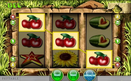 honey-bee-slot-spielautomatonline